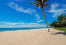 டேசாருவில் கரை ஒதுங்கிய ஆடவரின் சடலம்