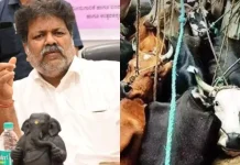பசுவை கடத்தினால் பார்த்த இடத்தில் என்கவுண்டர்.. கர்நாடக அமைச்சர் எச்சரிக்கை