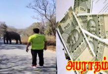 யானையை சீண்டியவருக்கு ரூ.25 ஆயிரம் அபராதம்