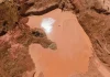 மாலி நாட்டில் தங்க சுரங்கத்தில் நிலச்சரிவு – 48 பேர் உயிரிழப்பு