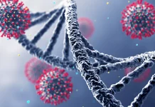 மீண்டும் அச்சுறுத்தல் – மனிதர்களிடையே பரவும் புதிய வகை கொரோனா வைரஸ்!