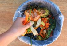 தென்கிழக்கு ஆசியாவில் உணவு விரயமாக்குவதில் மலேசியா 4வது இடத்தைப் பெற்றுள்ளது