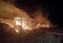 48,000 ayam mati terbakar