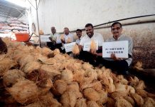 பினாங்கில் தேங்காய் தட்டுப்பாடு; விலை RM3.90 வரை உயர்வு , களைகட்டுமா தைப்பூசம்?