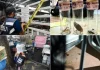 Bangkai tikus, najis tikus dan lipas di medan selera
