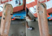 குச்சி ஐசுக்குள் உறைந்திருந்த பாம்பு.. சுவைக்க முற்பட்டவர் அதிர்ச்சி