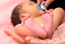 இத்தாலியில் திருமணம் ஆகாதவர்களும் குழந்தைகளை தத்தெடுக்க அனுமதி