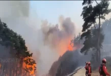 தென்கொரியாவில் காட்டுத்தீ: பலி எண்ணிக்கை 28 ஆக உயர்வு