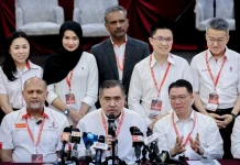 Loke pemenang terbesar pemilihan DAP