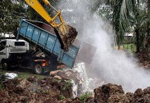 14,000 babi dijangkiti ASF lupuskan di Selangor