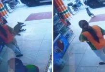 Polis siasat pekerja simbah air panas pada anjing