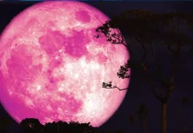 Pink Moon: வானில் தோன்றும் அதிசயம்.. வீட்டில் இருந்தே பார்க்கலாம்!