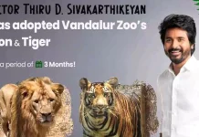 வண்டலூர் பூங்காவில் சிங்கம் மற்றும் புலியை தத்தெடுத்த சிவகார்த்திகேயன்