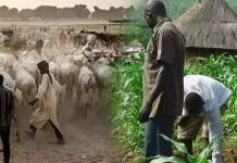 நைஜீரியா: விவசாயிகள், கால்நடை பராமரிப்பாளர்கள் இடையே மோதல் – 56 பேர் பலி