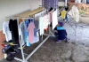 Pencuri pakaian dalam wanita ditahan