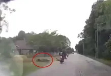 பள்ளத்தில் மோதி மோட்டார் சைக்கிள் ஓட்டுநர் மரணம்