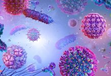 கெடாவில் மர்மக் கிருமித்தொற்று; அஞ்சப்பட்ட அளவிற்கு மோசமானதல்ல