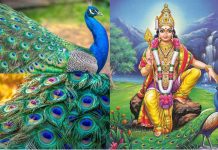 முருகக் கடவுள் மந்திரம்