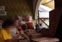 Penderaan- pusat perlindungan diarah tutup