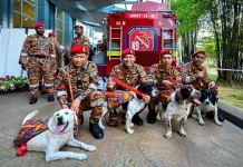 இங்கிலாந்திலிருந்து 16 புதிய பயிற்சி பெற்ற நாய்களை 2.4 மில்லியன் ரிங்கிட்டிற்கு தீயணைப்புத் துறை வாங்கவுள்ளது