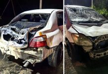 கெரிக்-ஜெலி நெடுஞ்சாலையில் காரை நாசமாக்கிய யானைகள்; ஹார்ன் சத்தம் காரணமாக இருக்கலாம் என நம்பப்படுகிறது