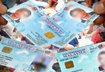 Hilang kad pengenalan sepanjang 2024 – 50 peratus kes babitkan belia