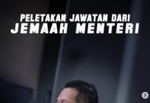 அமைச்சர் பதவியிலிருந்து விலகுவதாக அறிவித்தார் நிக் நஸ்மி