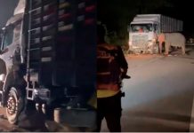 வனவிலங்கு உயிரிழப்புகளைத் தடுக்க அவசர நடவடிக்கை தேவை – WWF-Malaysia