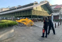 5 individu dikompaun MBPP kerana beri makan burung merpati di tempat awam