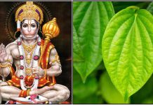 வெற்றிலை மாலை சாற்றினால்…