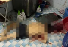 Bapa ditikam mati, anak ditahan