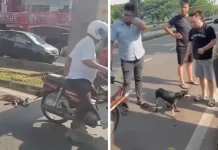Ikat, seret anjing guna motosikal polis akan tahan pemilik