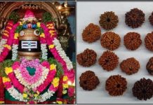 தீய சக்தியை விரட்டி அடிக்கும் ருத்ராட்சம்