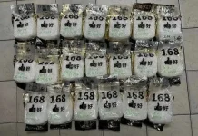 Warga Indonesia ditahan bersama 20kg syabu