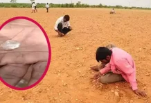 ஆந்திராவில் வயலில் கிடைத்த வைரக்கல்