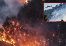 பிரான்சில் காட்டுத்தீ: 13 பேர் காயம்; 700 ஹெக்டேர் நிலப்பரப்பு எரிந்து சேதம்