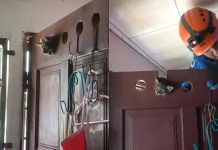 காற்றோட்ட துளையில் சிக்கிய குட்டிப் பூனை பாதுகாப்பாக மீட்பு