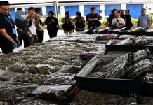 புக்கிட் மெர்தாஜாமில் வியட்நாம் நபர் உட்பட நான்கு பேர் கைது – RM3.72 மில்லியன் மதிப்பிலான கஞ்சா பறிமுதல்!