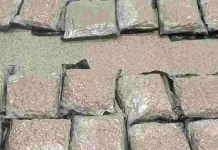 ஐதராபாத் விமான நிலையத்தில் ரூ.40 கோடி கஞ்சாவுடன் பெண் கைது