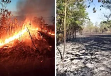 Kebakaran hutan di Rawang berjaya padam