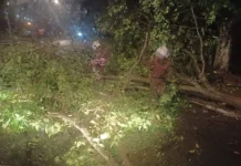 Hujan lebat, angin kencang di Selangor