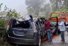 கேமரன் ஹைலேண்ட்ஸில் கார் மீது விழுந்த மரம்; 2 பேருக்கு லேசான காயம்