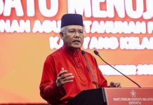 அதிகரிக்கும் பெர்சத்து பிரச்சினையால் துணைத்தலைவராக நீட்டிக்கும் ஹம்சா