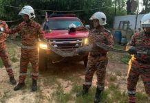 கோழிகளை விழுங்கிக் கொண்டிருந்த மலைப்பாம்பு பிடிக்கப்பட்டபோது ஆக்ரோஷமாக மாறியது: தீயணைப்புக் குழு