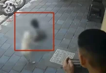 புதுச்சேரி: சிறுமியை கடித்துக்குதறிய தெருநாய் – அதிர்ச்சி சம்பவம்