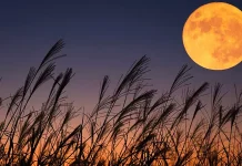 துருப்பிடித்து வரும் நிலவு; எல்லாவற்றிற்கும் காரணம்… விஞ்ஞானிகள் அதிர்ச்சி தகவல்