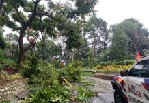 கோலாலம்பூர்: புயல் பாதிப்புக்கு, பல ஏஜென்சி குழுவின், விரைவானப் நடவடிக்கை!