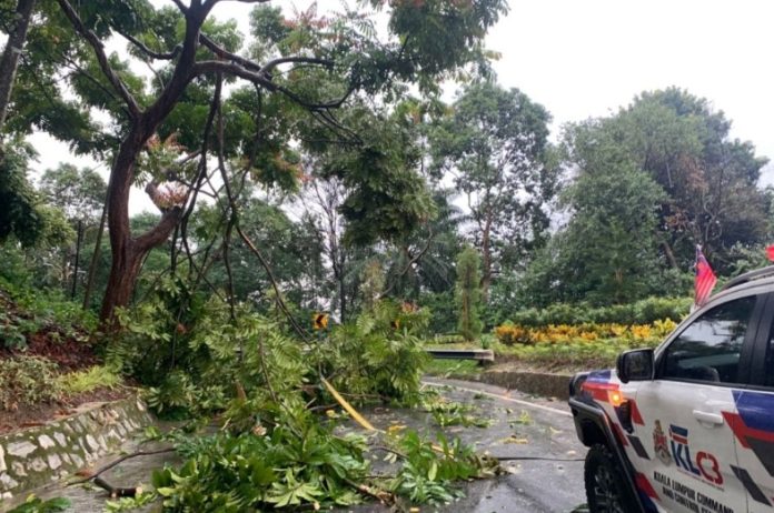 KL Storm