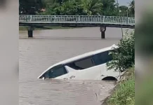 Toyota Alphard jatuh sungai kerana biawak
