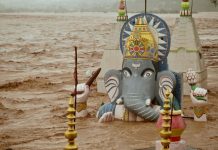 பஞ்சாப்: வரலாறு காணாத வெள்ளம்; விவசாயிகள் எதிர்காலம் குறித்த அச்சத்தில்!